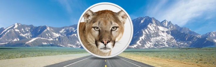 mountain-lion
