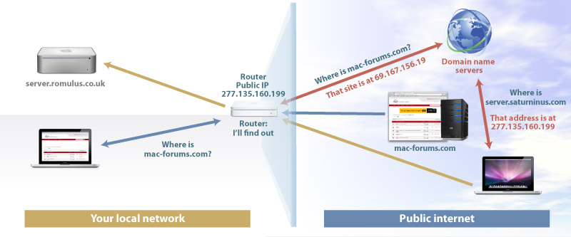 02-Lion-Server-Domain-names