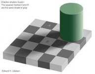 shades illusion.jpg