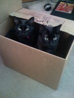 pics4phone 031.jpg