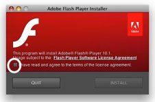 Adobe_Flash_Player_installer_380px.jpg