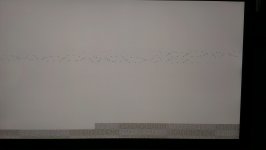 IMAG0066.jpg