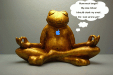 meditatingfrog2.gif