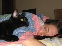 catnap.JPG
