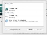 G-Drive Mini.jpeg