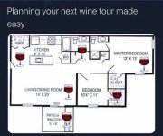 winetour.jpg