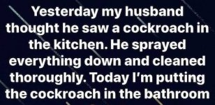 smart-lady.jpg