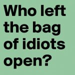 who left the bag of idiots open.jpg