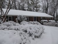 Jan17Snow_4.JPG