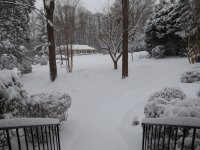 Jan17Snow_7.JPG