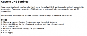 Custom DNS Setting.png