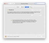 Firewall Settings.jpg Firewall Settings.jpg