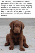 alan.gif