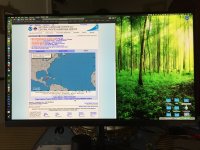 Mac Mini Monitor.jpeg