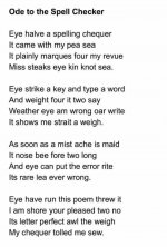IMG_2577.jpeg