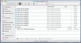 Screen Shot 2021-06-11 at 10.45.08 AM.png