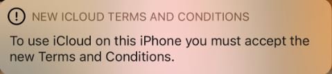 terms.jpg terms.jpg