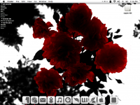 Picture 1.png