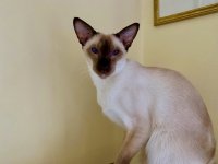 IMG_5029.jpeg