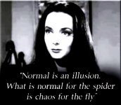 B28F040A-1FA2-43E4-AB58-FED31B1408A2.jpeg