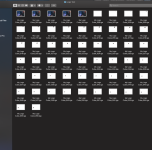 Screen Shot Output folder.png