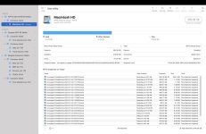 Screen Shot 2023-01-03 at 9.58.35 AM.jpg