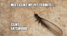 CF489C62-EC6B-47F4-9903-6A09D8D0EE19.jpeg