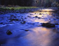 Late Afternoon Light, Merced River.jpg