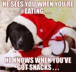 christmas_dog_meme_santa_large.jpg