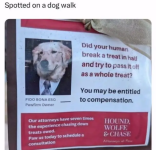 1721090263147.png