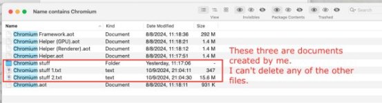 Chromium files found by FAF.jpg