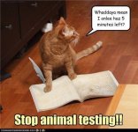 testing.jpeg