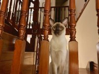 IMG_4472.jpeg