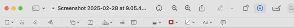 Screenshot 2025-03-01 at 5.59.33 PM.jpg