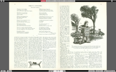 The Complete New Yorker Search Result (on external drive).png