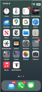 phone screen.jpg
