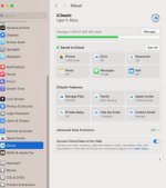 iCloud screen.jpg iCloud screen.jpg
