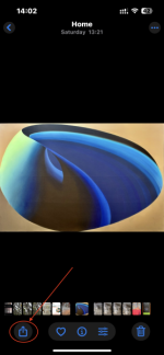 IMG_0372.PNG