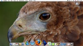 desktop.jpg