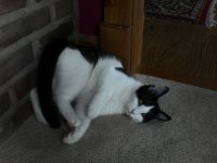 DSC00117.JPG