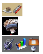 Picture 3.png