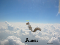 squirrel AMEN.PNG