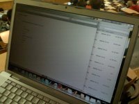 IMG_0003.JPG IMG_0003.JPG