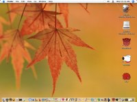 leaf.jpg
