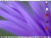 purple.jpg