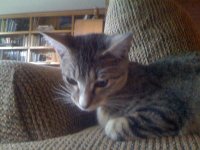 IMG_0013.jpg