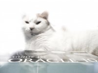 LizzyAfter.jpg