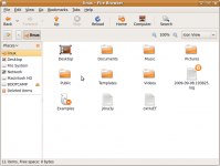 Screenshot-linux - File Browser.png