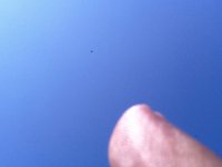 IMG_0046.jpg