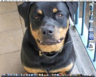 Screen shot 2010-02-20 at 20.33.39.jpg